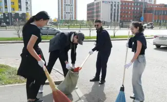 Масштабная акция по посадке деревьев в Казахстане: шаг к устойчивому экологии страны