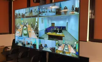 Укрепление международного сотрудничества в борьбе с саранчовыми вредителями: встреча МСХ РК и ФАО в Астане