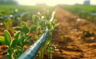 Устойчивое водопотребление в аграрном секторе: международные подходы к адаптации к климатическим изменениям в Казахстане