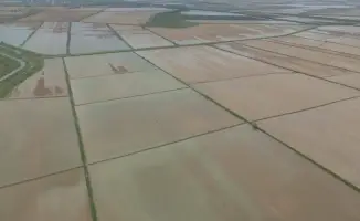 Промывка почвы в Туркестанской области: 400 млн кубометров воды на 94,6 тыс. га