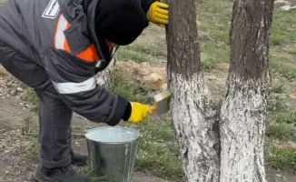 В Павлодарской области завершилась экологическая акция «Таза қала» с участием местных жителей