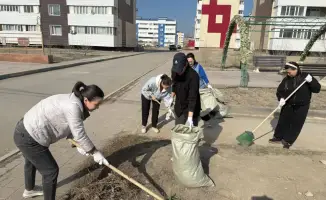 Экологическая акция в области Ұлытау собрала 87 тысяч участников для улучшения окружающей среды