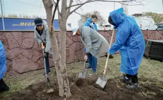 «Таза Қазақстан»: 70 тысяч новых зелёных сердец для родной земли