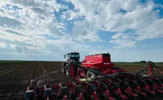 Зеленый ковёр из 804 тысяч гектаров: южные регионы Казахстана готовятся к урожаю