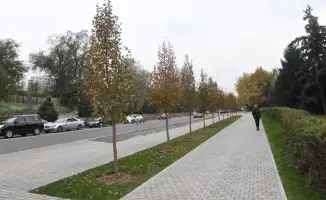 Алмалинский район Алматы: более 1000 «героев метлы» на страже чистоты