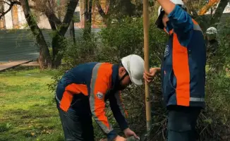 Субботники в Алматы: улучшение социальной инфраструктуры и благоустройство городской среды