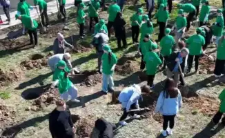 Павлодар: Чистота на грани рекорда!