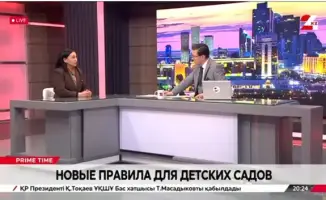 Лицензирование дошкольных организаций: шаг к безопасности и качеству детского образования