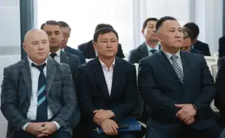 Цифровая паспортизация деревьев в Таразе: шаг к улучшению городской экологии