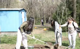 Алматы: новая аллея деревьев как шаг к экологической ответственности