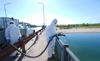 ТУРКЕСТАН: ДЕЗИНСЕКЦИЯ В ОТЫРАРСКОМ РАЙОНЕ МОЖЕТ УМЕНЬШИТЬ КОЛИЧЕСТВО МОШКИ И УЛУЧШИТЬ УСЛОВИЯ ЖИЗНИ МЕСТНЫХ ЖИТЕЛЕЙ