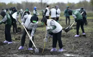 Уральск: 1000 деревьев высажено в акцию