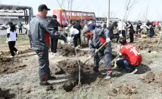 Сотрудники ресторанного и гостиничного бизнеса высадили более 1000 деревьев в рамках экологической акции «Таза Казақстан»