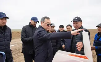 Увеличение посевных площадей в Жамбылском районе за счёт пастбищных земель