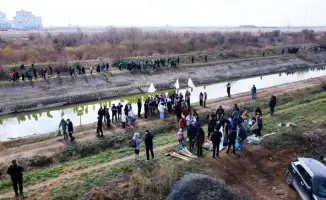 Банкиры Астаны: вместе сажаем деревья, очищая будущее