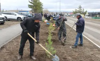 Посадка 100 сосен в Каркаралинске: вклад в экологию и память о Токтаре Аубакирове