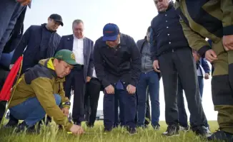 В Казахстане в 2026 году площадь химических обработок против саранчовых сократится до 2,2 млн га благодаря улучшению мониторинга.