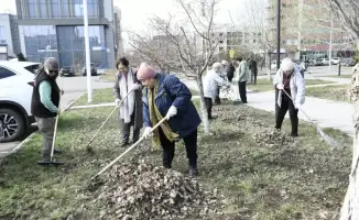 Цирковые артисты на субботнике: чистота в Астане!