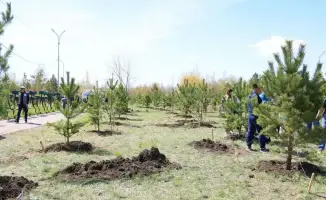 1500 деревьев высадили в Караганде