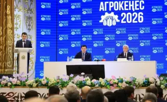 Изменение структуры посевов в Карагандинской области: новые меры поддержки аграриев и их влияние на урожай