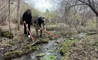 Участие более 60 человек в акции по очистке Сайрамсуского ущелья: шаг к сохранению природного наследия