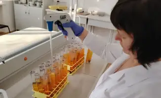 Новые засухоустойчивые сорта растений от казахстанских ученых могут повысить урожайность на 10 ц/га