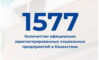 Социальное предпринимательство в Казахстане: рост семян надежды до 1577