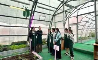 Классный час в теплице формирует у школьников ответственное отношение к экологии в Астане