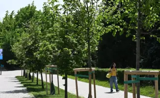 Биологическая обработка зеленых насаждений в Алматы: как это повлияет на экологию города?