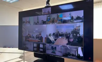 Казахстан усиливает экспорт кормовых смесей в Китай через перерегистрацию предприятий