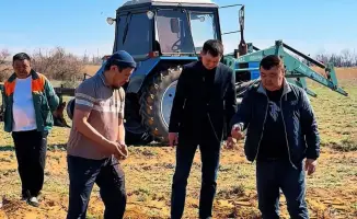 Весенне-полевые работы активизировались в Шалкарском районе: засеют 235 гектаров