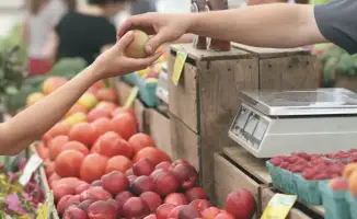 Международные стандарты контроля цен: Казахстан внедряет новые технологии