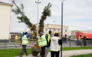 Экоакция в Ордабасе: более 300 участников