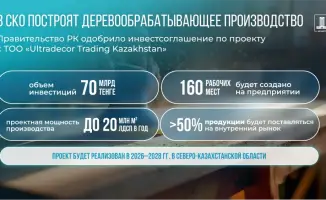 Древесина в дело: новый завод меняет регион!