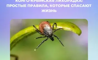Защита от Конго-Крымской лихорадки в Казахстане