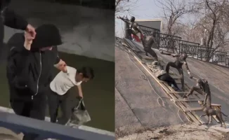 Алматинцы повторили подвиг спасения собаки, которому установлен памятник: Хаски Юта пропала на неделю и была найдена в ледяной воде