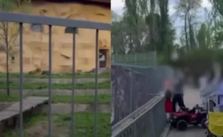 Общественное осуждение: алматинец привлечен к ответственности за жестокое обращение с животными в зоопарке