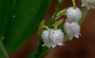 Погода в Астане и Алматы: потепление и дожди ожидают Казахстан в последние дни апреля
