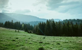 Астана готовится к зимнему пробуждению, а Алматы — к грозовым танцам: прогноз погоды на 25-27 апреля