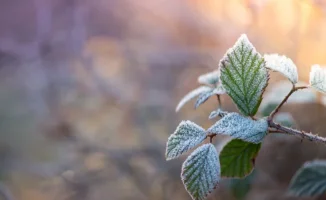 Астана готовится к заморозкам, Алматы ожидает дожди и грозы: прогноз погоды на 26-28 апреля от синоптиков Казгидромета