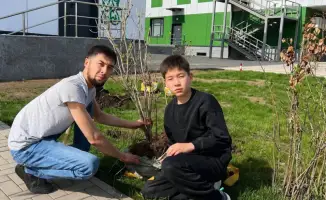 «Сажая будущее»: в Астане школьный двор стал зеленым оазисом