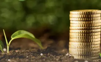 Государственная поддержка: страховые премии для агросектора под крылом надежды