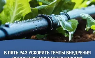 Государственная поддержка в Казахстане ускоряет внедрение водосберегающих технологий, приближая цель 1,3 млн га к 2030 году