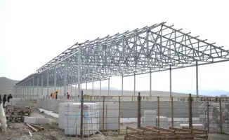 Овечья шерсть и молоко: будущее Алматинской области!