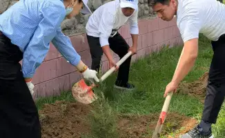 В Сарыагаше высажено 200 новых саженцев в рамках проекта "Таза Қазақстан" с участием почти сотни волонтеров.