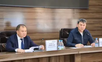 Туркестан: ежедневная борьба с саранчой