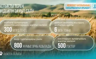 Инвестиционное соглашение на строительство завода по переработке зерна в Акмолинской области