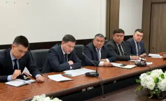 Обсуждение мер по борьбе с саранчовыми вредителями и борьбе с коррупцией в рамках онлайн-совещания