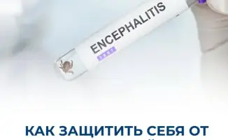 Сезон активности клещей в Казахстане: 478 обращений после укусов и важность вакцинации