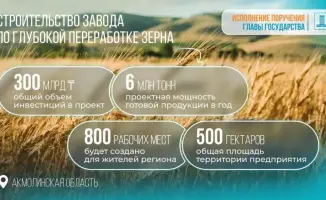 В Акмолинской области начнётся строительство завода по глубокой переработке зерна, одобренного правительством Казахстана